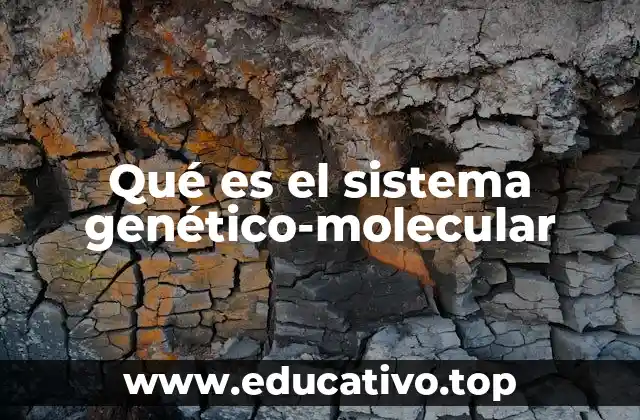 Qué es el sistema genético-molecular