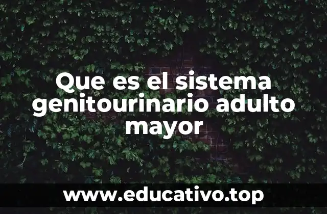 Los desafíos del envejecimiento en el sistema urinario