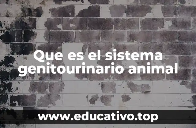 Que es el sistema genitourinario animal