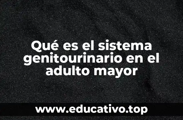 Qué es el sistema genitourinario en el adulto mayor
