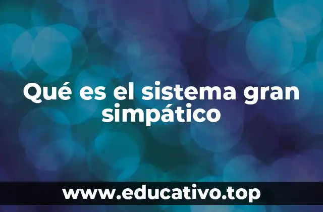 Qué es el sistema gran simpático