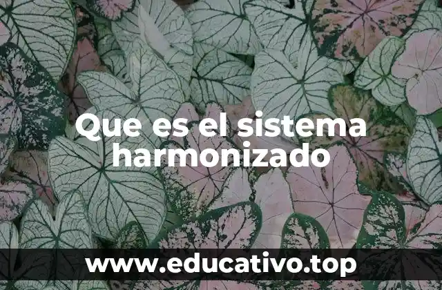 Que es el sistema harmonizado