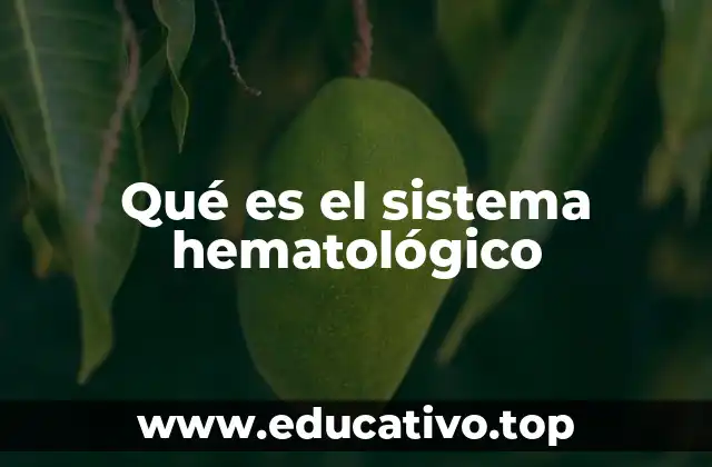 Qué es el sistema hematológico
