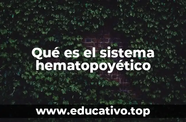 Qué es el sistema hematopoyético