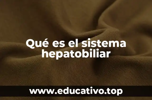 Qué es el sistema hepatobiliar