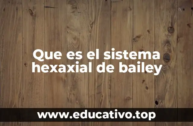 Que es el sistema hexaxial de bailey