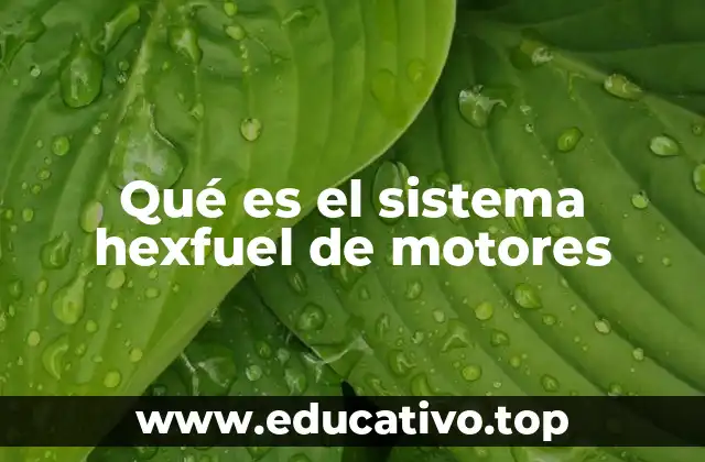 Qué es el sistema hexfuel de motores