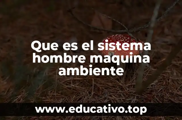 Que es el sistema hombre maquina ambiente