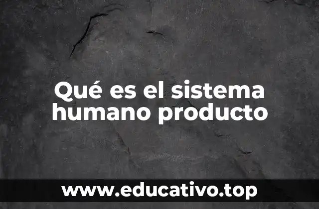 Qué es el sistema humano producto