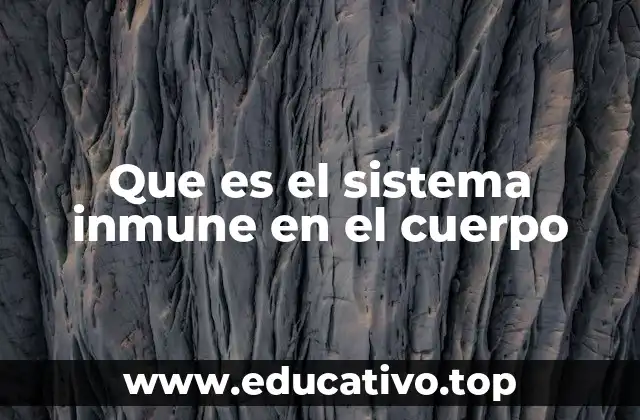 Que es el sistema inmune en el cuerpo