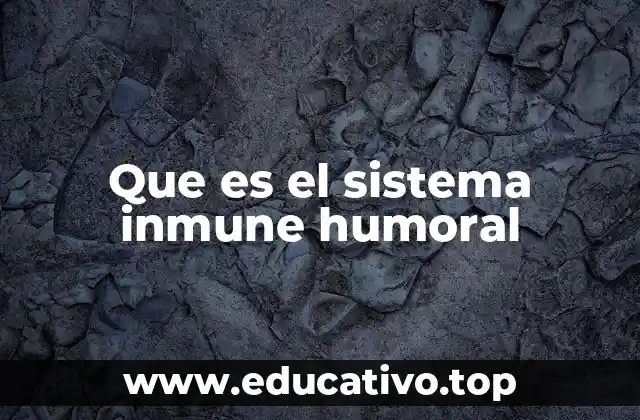 Que es el sistema inmune humoral