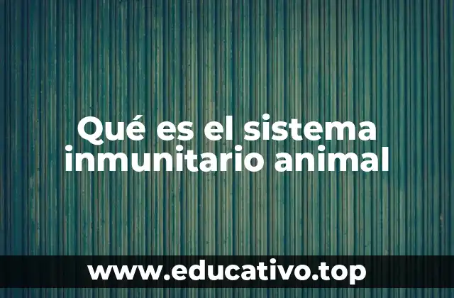 Qué es el sistema inmunitario animal