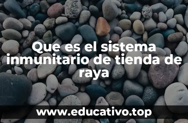 Que es el sistema inmunitario de tienda de raya
