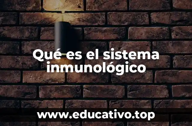 Qué es el sistema inmunológico