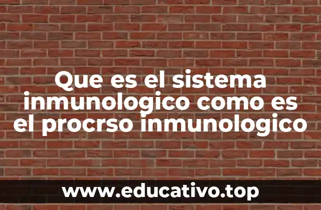 Que es el sistema inmunologico como es el procrso inmunologico
