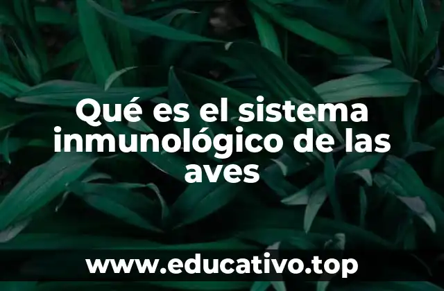 Qué es el sistema inmunológico de las aves