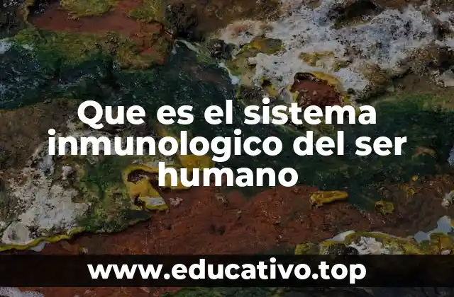Cómo funciona el sistema de defensa del cuerpo humano