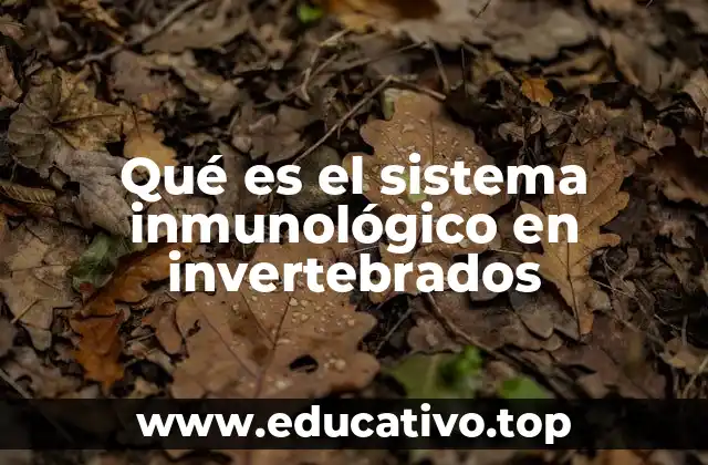 Qué es el sistema inmunológico en invertebrados