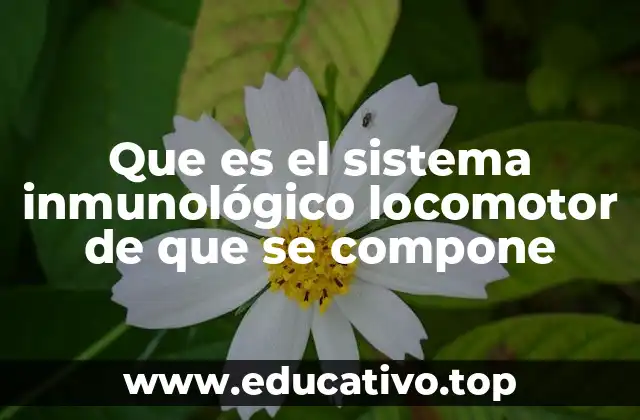 Que es el sistema inmunológico locomotor de que se compone