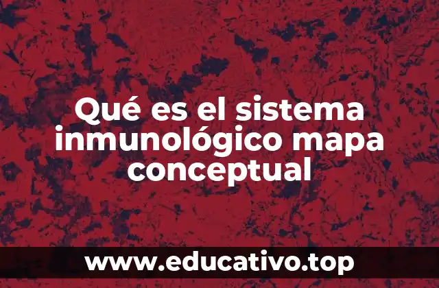 La importancia de representar el sistema inmunológico de forma visual