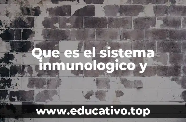 Que es el sistema inmunologico y