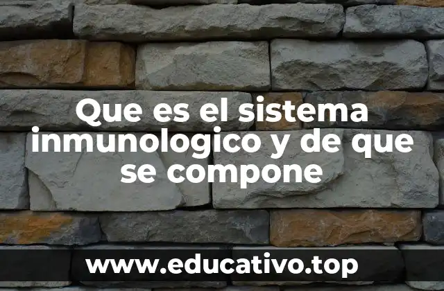 La importancia de la defensa natural del cuerpo