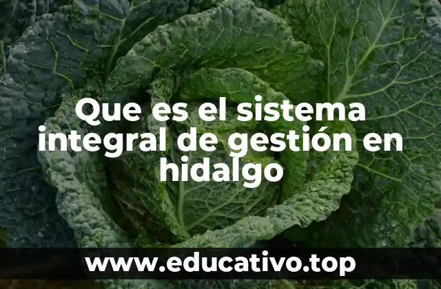 Cómo el Sistema Integral de Gestión transforma la gestión pública en Hidalgo