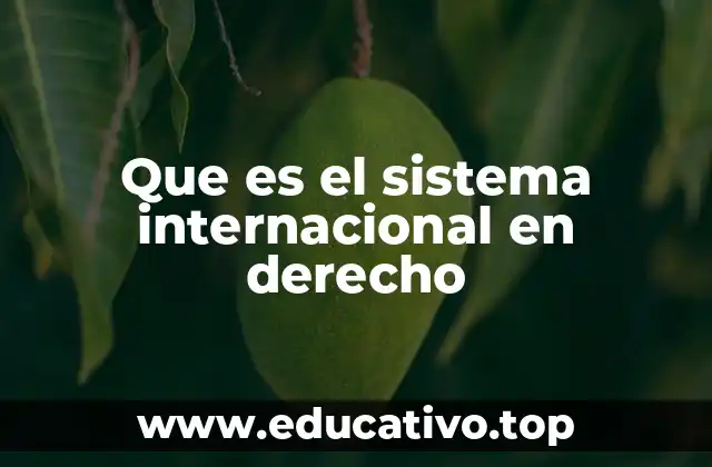 Que es el sistema internacional en derecho