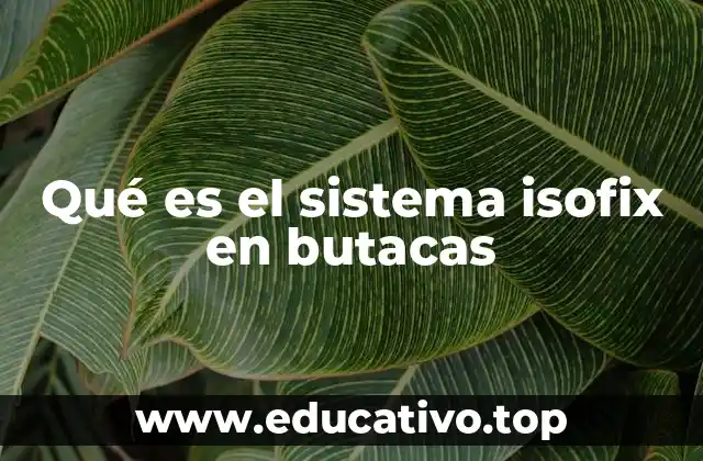 Cómo mejora la seguridad en los viajes infantiles