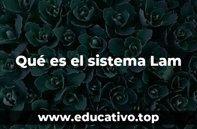 Qué es el sistema Lam
