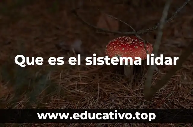 Que es el sistema lidar