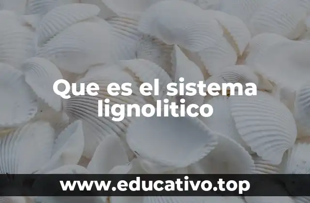 Que es el sistema lignolitico