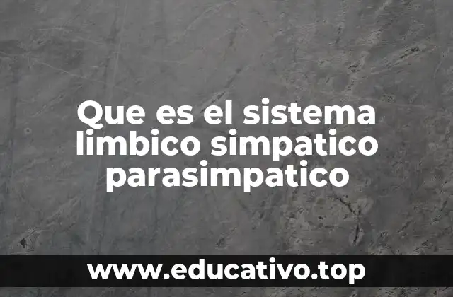 La interacción entre los sistemas nerviosos para mantener el equilibrio corporal