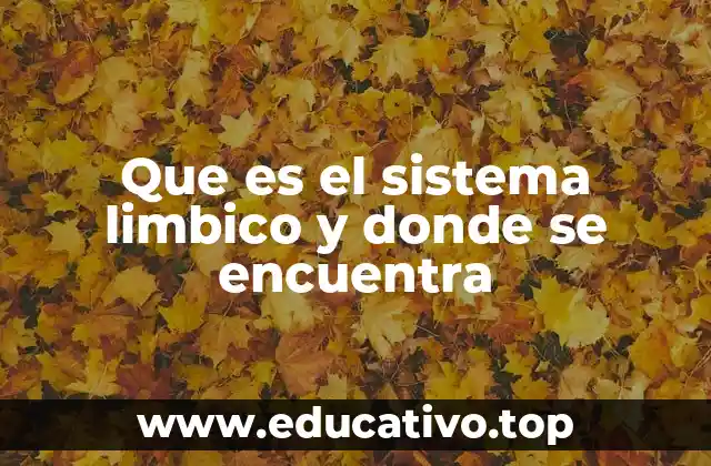 Que es el sistema limbico y donde se encuentra