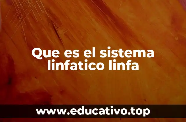 Que es el sistema linfatico linfa