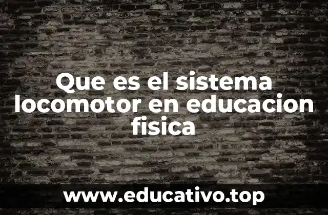 El rol del sistema locomotor en la formación motriz