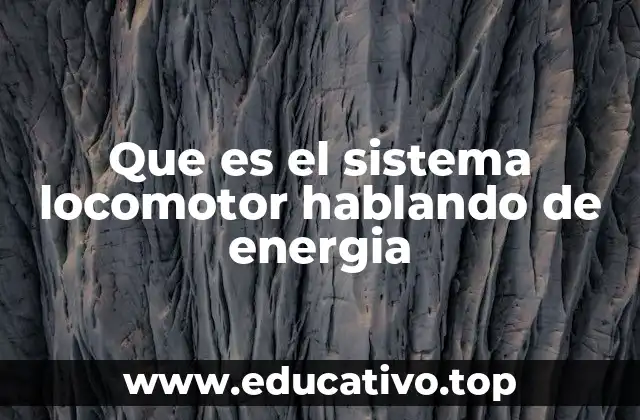 Que es el sistema locomotor hablando de energia