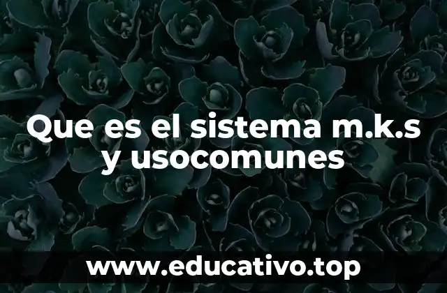 Que es el sistema m.k.s y usocomunes