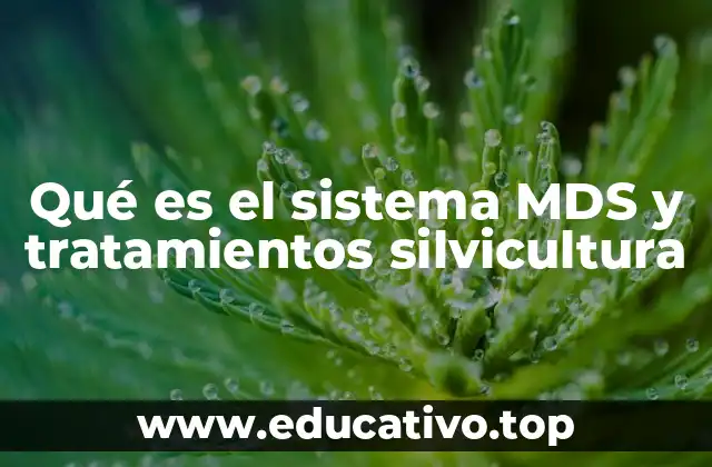 Qué es el sistema MDS y tratamientos silvicultura