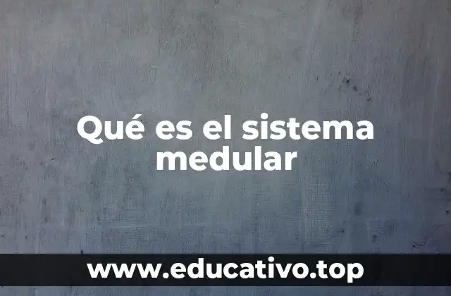 Qué es el sistema medular