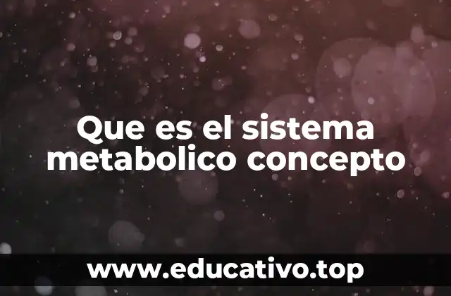 Que es el sistema metabolico concepto