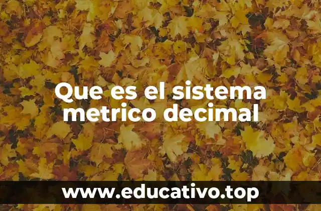 Que es el sistema metrico decimal