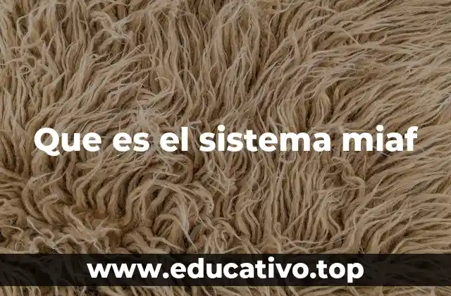Que es el sistema miaf