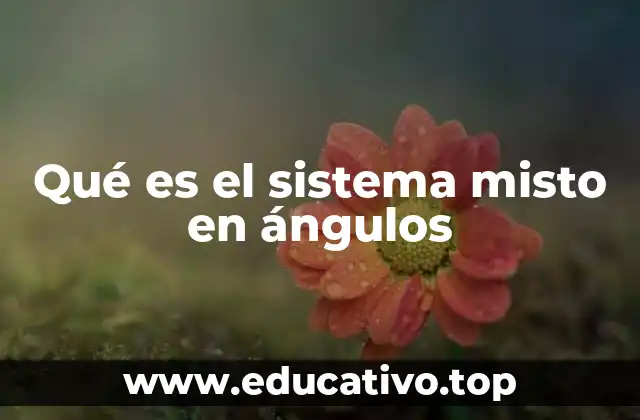 Qué es el sistema misto en ángulos