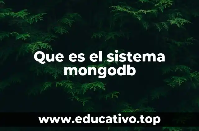 Características que definen a MongoDB