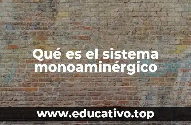 Qué es el sistema monoaminérgico