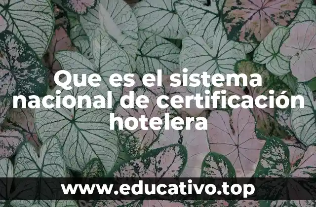 Que es el sistema nacional de certificación hotelera