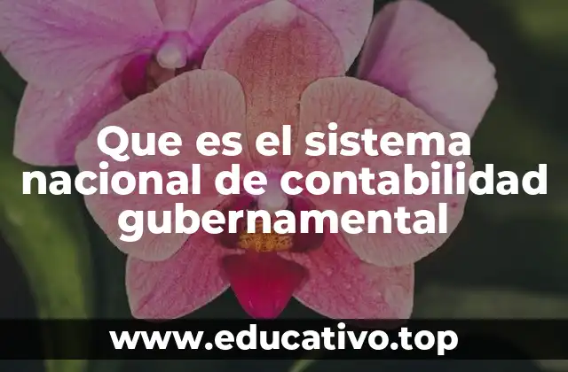 Que es el sistema nacional de contabilidad gubernamental
