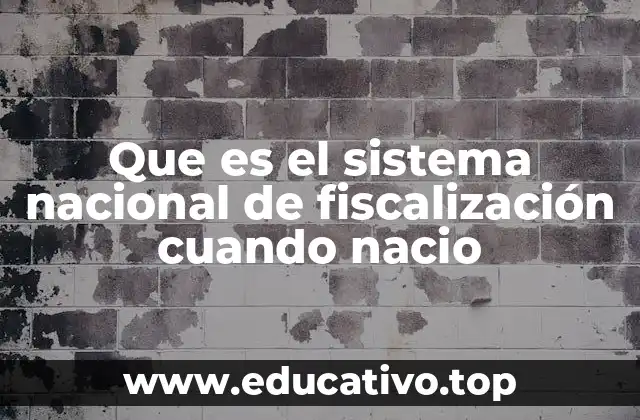 El papel del Sistema Nacional de Fiscalización en la gobernanza pública