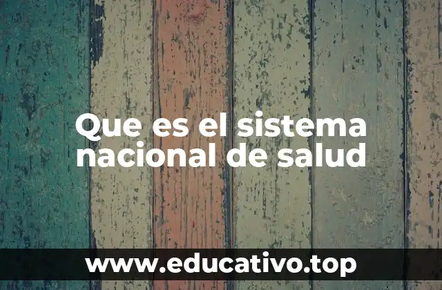 Que es el sistema nacional de salud
